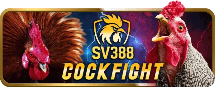 Đội ngũ hỗ trợ khách hàng 24/7 của 39bet nhà cái